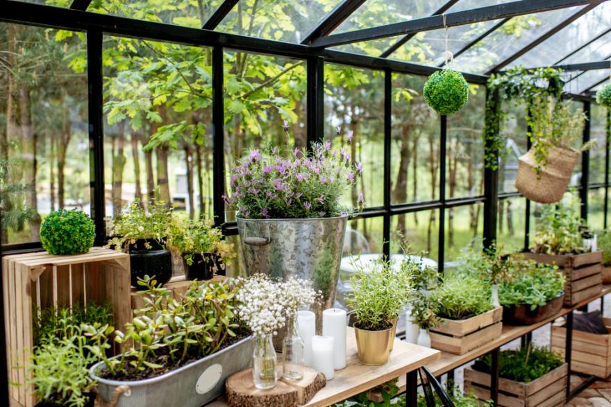 Jardin d'hiver