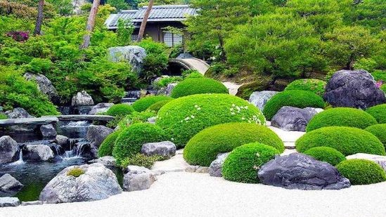 Techniques pour obtenir un jardin japonais