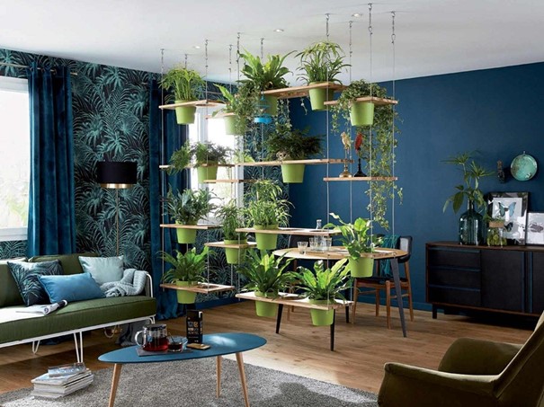 Plantes